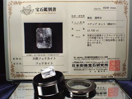 ◇希少性抜群！液体を内包したフェナカイト◇【鑑別書付属】◇世界一 