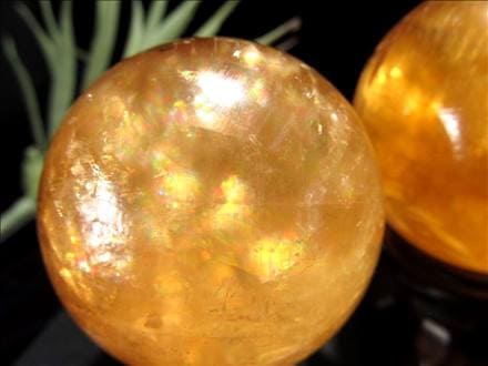 ☆蜂蜜のような黄金色！☆透明感抜群☆美麗！つやつや☆繁栄と成功の