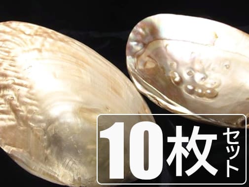 [天然貝殻] 白蝶貝 マベ真珠 皿５枚 天然貝殻] 白蝶貝 マベ真珠 皿5枚