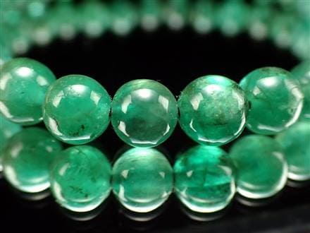 ◇限定4本！◇最高級プレミアクラス◇華やかさと気品を兼ね備えた逸品