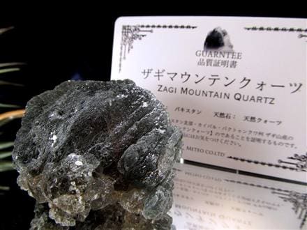 ☆業界最安値に挑戦☆数量限定入荷！☆『聖なる山』ザギマウンテン産