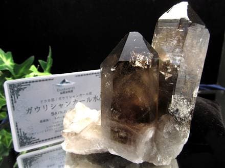 ◇BIGサイズ◇産出量極少により入手困難!!◇ヒマラヤの厳しい大自然が