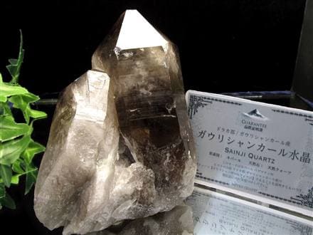 ◇BIGサイズ◇産出量極少により入手困難!!◇ヒマラヤの厳しい大自然が