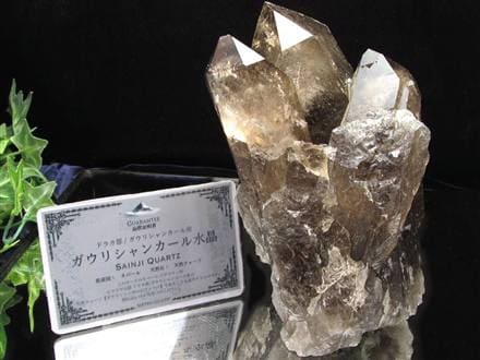 ◇BIGサイズ◇産出量極少により入手困難!!◇ヒマラヤの厳しい大自然が