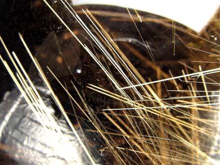 覇王級ルチル】☆金針が放射状に走る圧倒的ビジュアル☆驚異のサイズ感