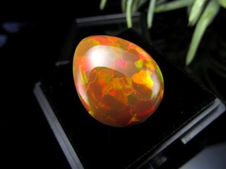 極上の逸品】◇最も希少なるオパールの輝き！本物の「ハーレクイン