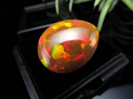 極上の逸品】◇最も希少なるオパールの輝き！本物の「ハーレクイン