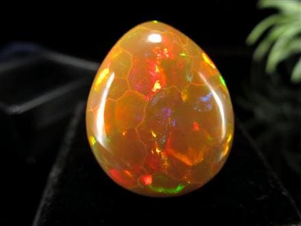 極上の逸品】◇最も希少なるオパールの輝き！本物の「ハーレクイン