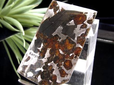 ☆数量限定！☆世界で最も美しい隕石☆美品！セリコ産☆石鉄隕石