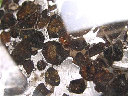 ☆数量限定！☆世界で最も美しい隕石☆美品！セリコ産☆石鉄隕石