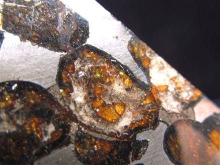 セリコ隕石　中 パラサイトセリコ隕石 シルバーペンダント｜マライカ公式通販