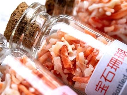 国産天然】◇希少！土佐湾珊瑚使用◇瑞々しさのあるつやつや光沢