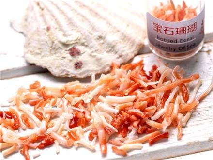 国産天然】◇希少！土佐湾珊瑚使用◇瑞々しさのあるつやつや光沢