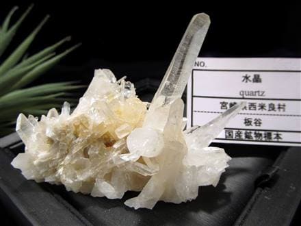 国産天然石】☆透明感抜群!針状水晶ポイント☆コレクター必見 国産天然石】☆透明感抜群!針状水晶ポイント☆コレクター必見