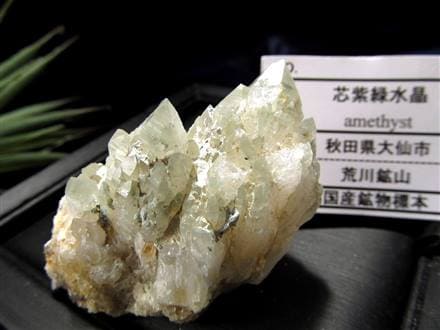 国産天然石】☆神秘的な2色の輝き！☆根本はアメジスト！先端は 