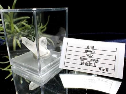国産天然石】☆コレクター必見！標本にも☆1点物☆