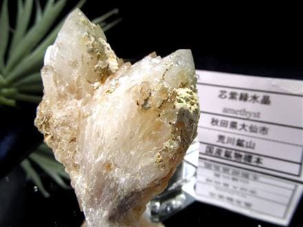 国産天然石】☆神秘的な2色の輝き！☆根本はアメジスト！先端は