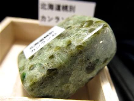 秘蔵国産】☆希少！「幌別産」☆国内ではほぼ採れない！ハルツバー 