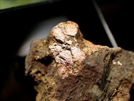 ☆衝撃特価！☆国の天然記念物「稗田野の菫青石仮晶」☆まるで桜の