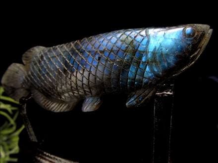 木製 鮮やかな魚の彫刻 アジア·アロワナ 木製 鮮やかな魚の彫刻 アジア·アロワナ