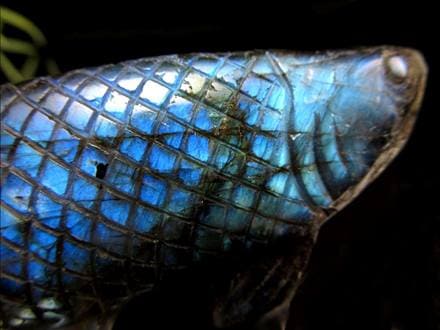 ☆繊細彫刻！龍魚と呼ばれる古代魚☆権力や繁栄、事業の発展の意味を
