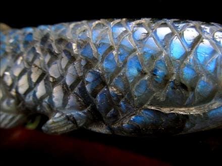☆繊細彫刻！龍魚と呼ばれる古代魚☆権力や繁栄、事業の発展の意味を