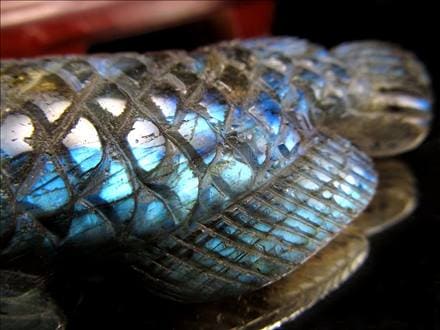 ☆繊細彫刻！龍魚と呼ばれる古代魚☆権力や繁栄、事業の発展の意味を