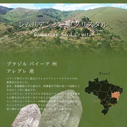 古代の叡智を封じ込めた水晶 清らかな力をもつ 5Aレムリアンシードクリスタル A ☆大人気クリスタル☆古代の叡智を封じ込めたクリスタル☆清らか
