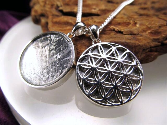 ◇希少な鉄質隕石◇シルバーギベオン×シルバープルパの最強の