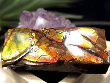 カナダ産　アンモライト　化石　原石　幅8.5cm 箱付き ☆早い者勝ち☆数量限定！大特価☆カナダ産の至宝☆光の層が踊る☆圧巻