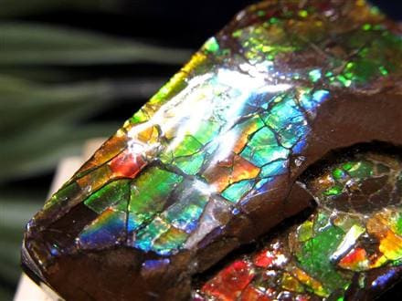 ネックレス｜超強力パワー！標本としても◎｜化石宝石　ドラゴンスキン・アンモライト ネックレス｜超強力パワー！標本としても◎｜化石宝石 ドラゴンスキン