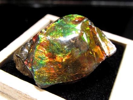 KORITE  アンモライト原石片 ☆早い者勝ち☆数量限定！大特価☆カナダ産の至宝☆光の層が踊る☆圧巻