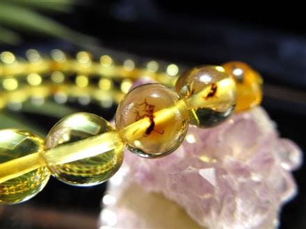 稀少 昆虫が封入された珍しいアンバー(透明な天然琥珀)ビーズ使用の