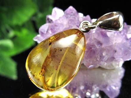 天然石 海 石 植物の跡あり アンティーク ◇太古の息吹を閉じ込めた樹脂化石◇愛を願う女神の涙◇1点物