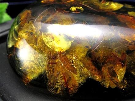 鑑別付 琥珀 アンバー 巨大 ブラウンホワイト レア 一点物 希少 天然石 化石 鑑別付 琥珀 アンバー 巨大 ブラウンホワイト レア 一点物 希少