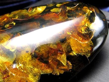 鑑別付 琥珀 アンバー 巨大 タイガーアンバー レア 一点物 希少 天然化石 鑑別付 琥珀 巨大 タイガーアンバー アンバー レア 一点物 希少 鑑賞石