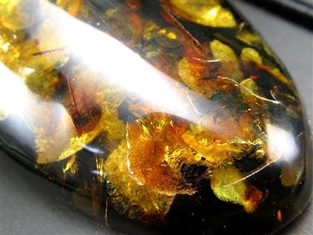 鑑別付 琥珀 アンバー 巨大 ブラウンホワイト レア 一点物 希少 天然石 化石 天然琥珀 樹脂 化石 コハク 幸運 長寿 健康 家族の繁栄