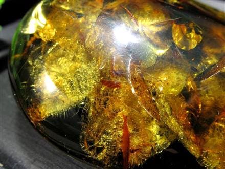 鑑別付 琥珀 アンバー 巨大 ブラウンホワイト レア 一点物 希少 天然石 化石 天然琥珀 樹脂 化石 コハク 幸運 長寿 健康 家族の繁栄