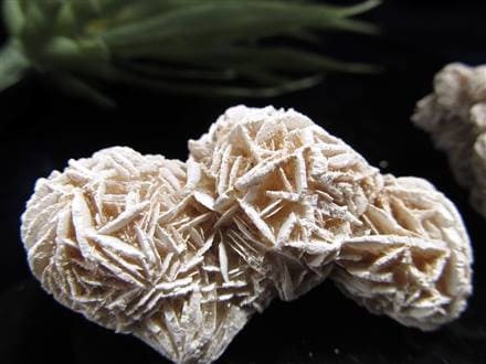 ◇大自然のアート◇砂漠から生まれる神秘的な薔薇◇デザートローズ