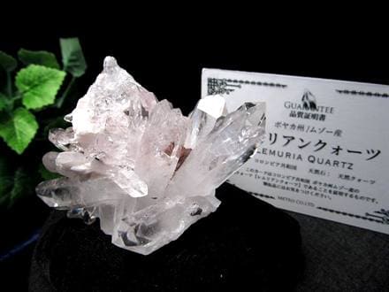 限定価格✨美✨希少✨AAAAA 幻の初期採掘 ピンクレムリアンシードクリスタル ◇幻の逸品!!◇希少!!ほんのりピンク◇抜群の透明度◇古代の叡智を