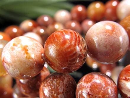 ◇華やかなオレンジカラー◇花咲く珊瑚模様◇希少！珊瑚の化石◇心身を