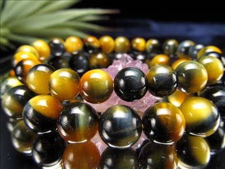 ◇激レア！◇5A美麗ツートンカラー◇ゴールド＆ブルーの光沢！◇幸運を  