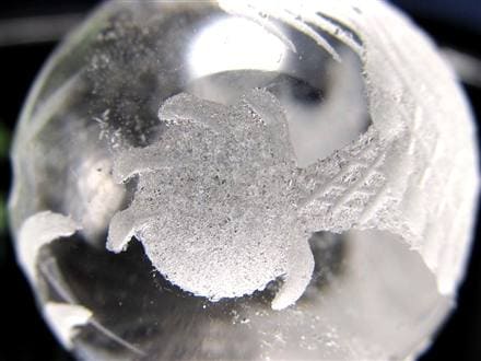 ◇運気上昇・開運の象徴◇透明度抜群◇縁起物！願いが叶う