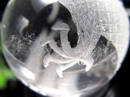 ◇運気上昇・開運の象徴◇透明度抜群◇縁起物！願いが叶う