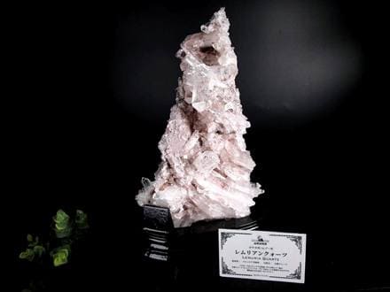 ◇幻の逸品!!◇超希少特大クラスター形状◇ほんのり桜色に煌めく結晶群