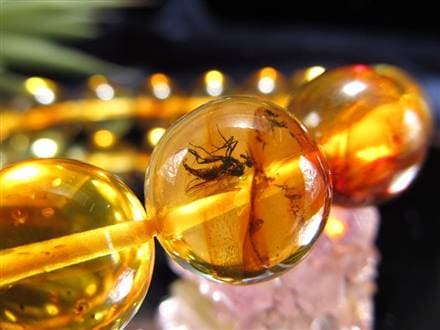 虫入り琥珀　蜘蛛　蚊　多種多様な虫を内包　バルティックアンバー　バルト海沿岸地域 虫入り琥珀 蜘蛛 蚊 多種多様な虫を内包 バルティックアンバー バルト