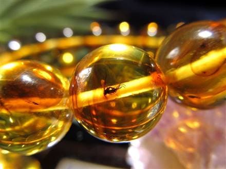 ☆存在感抜群の大珠☆圧倒的な希少性！☆4千万年前の虫が