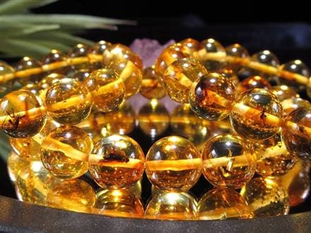☆早い者勝ち！少数限定☆圧倒的な希少性！☆4千万年前の虫が入った 