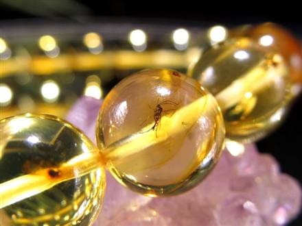 ☆存在感抜群の大珠☆圧倒的な希少性！☆4千万年前の虫が
