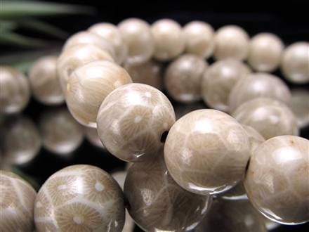 白妙◆パープルフォッシルコーラル 白妙◇パープルフォッシルコーラル 白妙◇パープルフォッシルコーラル